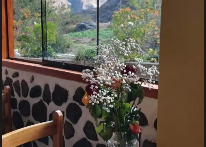 Sara Garden *